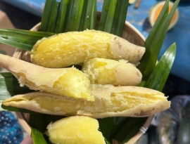 NÔNG SẢN