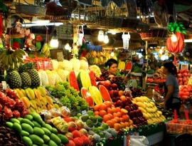 TRÁI CÂY ĐẶC SẢN VIỆT NAM