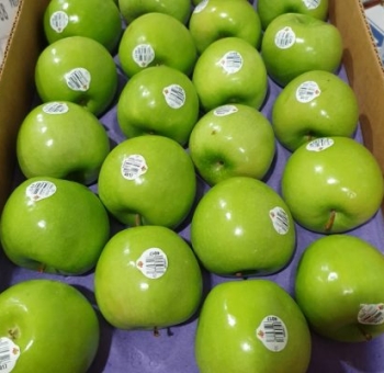 9 Lợi Ích Không Ngờ Của Táo Xanh