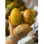 Cóc chín khỏi chê