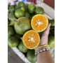 Cam Sành Ngọt Nước