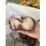 Vú sữa mỏng dính cần giuộc long an