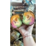 Bánh tét cần giuộc long an