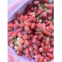 Nho đỏ hàng chọn trái đỏ chót giòn ngọt 