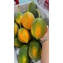 Trái cây đu đủ long an cần giuộc