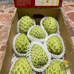 Na ĐàiLoan  trái cây nhập khẩu long an