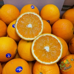 Cam Uc cuoi vụ ngot ngon ở cần giuộc Long An