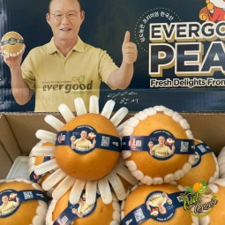 Lê Hàn