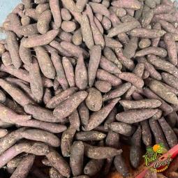 Khoai mật 105k/3ky 