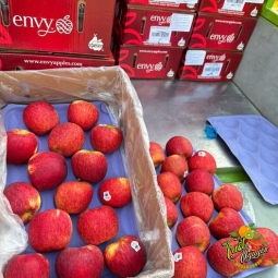 Envy Sz 70 qua đep 