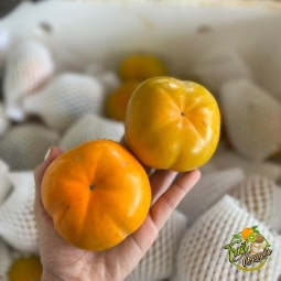 Hồng Mật 