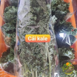 Cải kale 55k/ký 