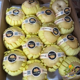 Lê Sữa giòn, mong nước , ngọt Thanh 