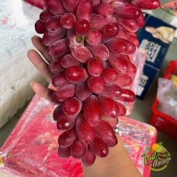 Nho Đỏ