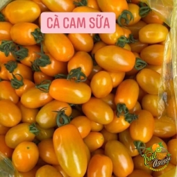 Cà Cam Sữa