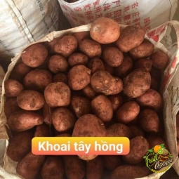 Khoai Tây 60k