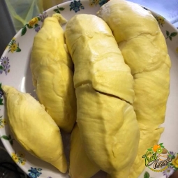 Sầu Riêng