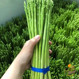 Măng Tây Cần Giuộc