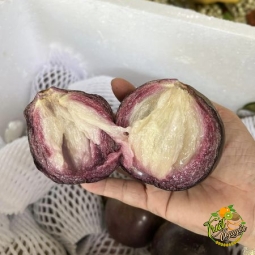 Vú sữa mỏng dính cần giuộc long an