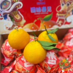 Quyt Chum ngot lắm luôn , đậm vi thơm nua..
