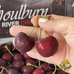 Cherry  trái cây nhập khâu tại Cần Giuộc Long An