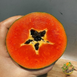 Đu đủ Thái, da xanh ruột đỏ, chuẩn organic