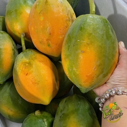 Trái cây đu đủ long an cần giuộc