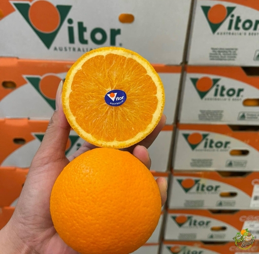 Cam Uc cuoi vụ ngot ngon ở cần giuộc Long An