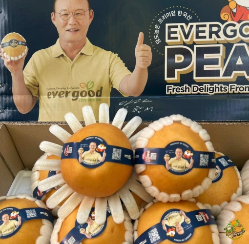 Lê Hàn