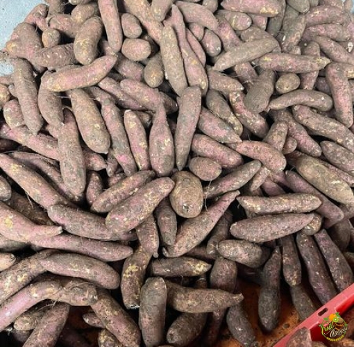 Khoai mật 105k/3ky 