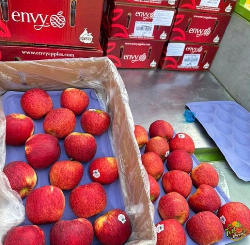 Envy Sz 70 qua đep 