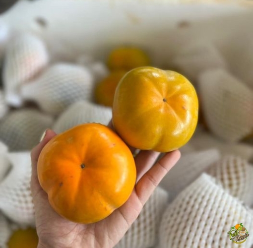 Hồng Mật 