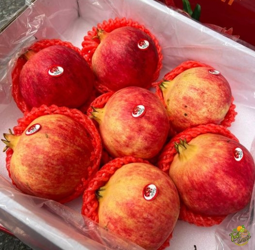 Lựu Sz 7 trai đo