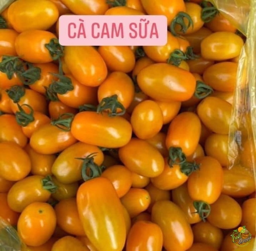 Cà Cam Sữa