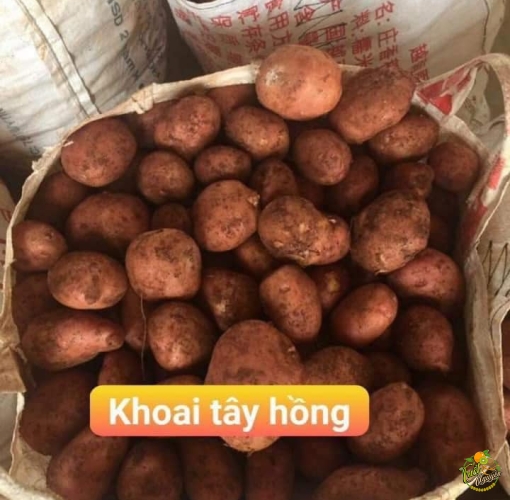 Khoai Tây 60k