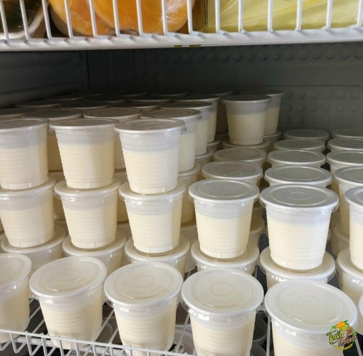 Sữa chua phô Mai 100k/10 hủ