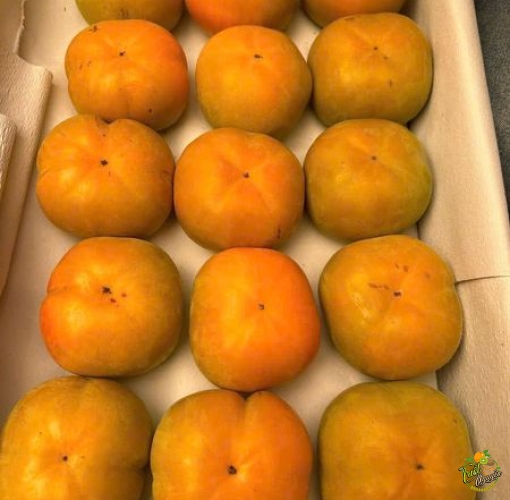 Hồng Mật Vân Sơn