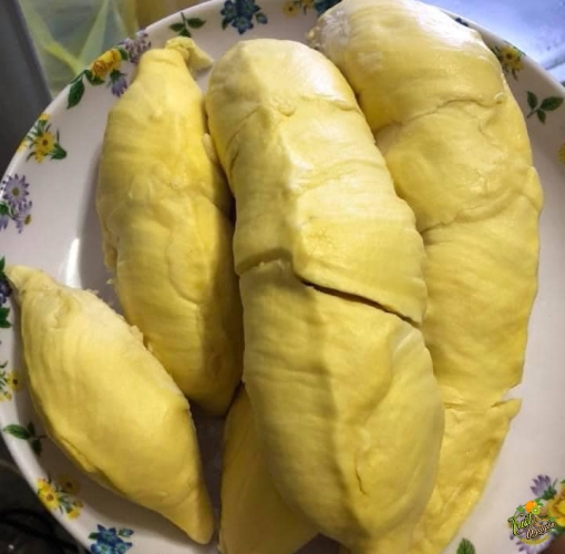 Sầu Riêng