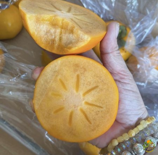 Hồng giòn socola ngọt gion 110k/2ky