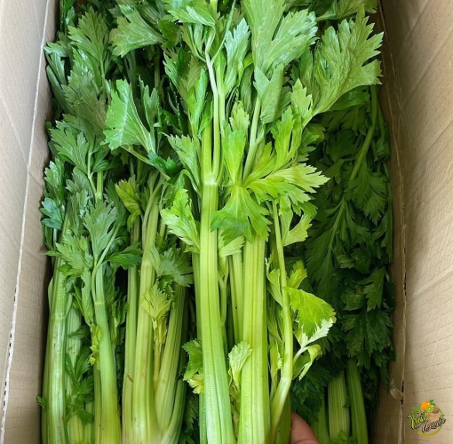 Cần Tây