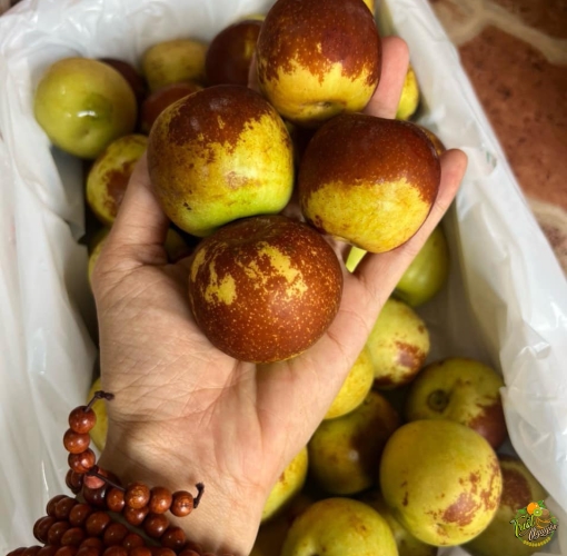 Tao nam thung 1,5ky gion rụm ngot ngay