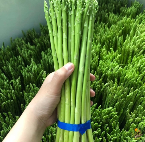 Măng Tây Cần Giuộc