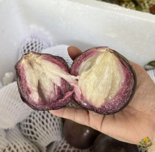 Vú sữa mỏng dính cần giuộc long an