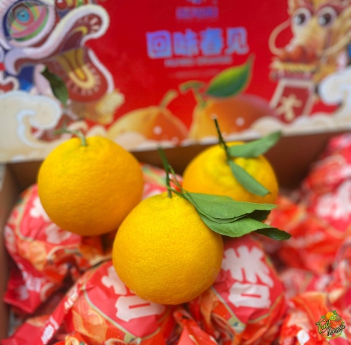 Quyt Chum ngot lắm luôn , đậm vi thơm nua..