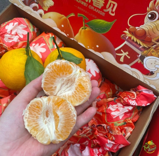 Quyt Chum ngot lắm luôn , đậm vi thơm nua..