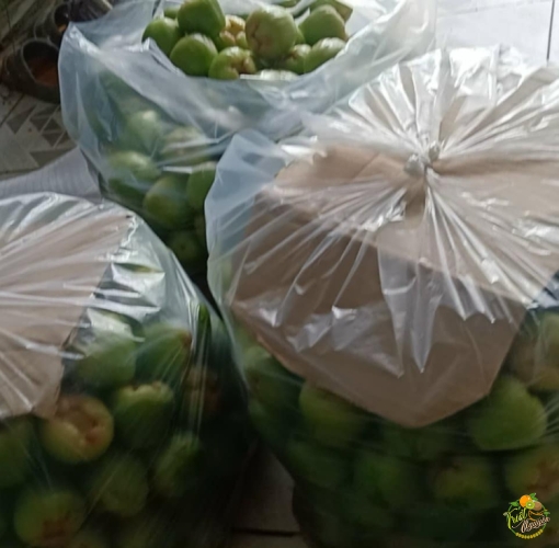 Mận đường sóc trăng , ngọt lim đây ah