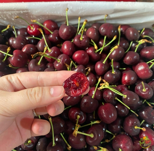 Cherry hill Uc ngọt ngon 