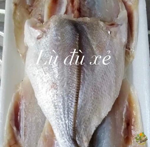 Khô lá lù đù xẻ 180k/ky (10-15con /ky)