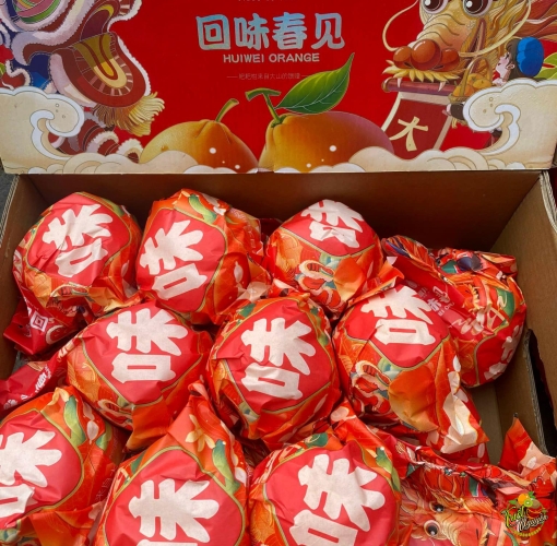 Quyt Chum ngot lắm luôn , đậm vi thơm nua..