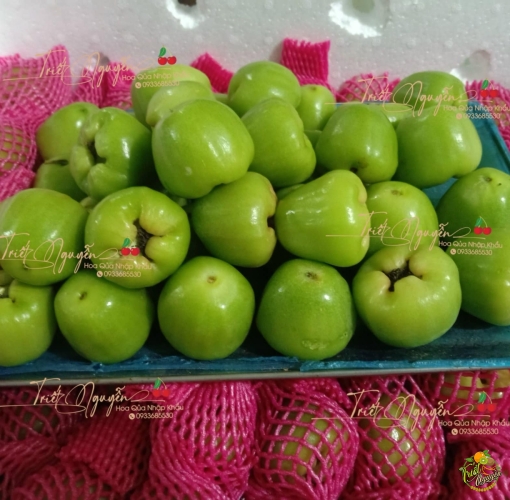 Mận đường sóc trăng , ngọt lim đây ah
